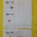 박물관옆동물병원 이미지