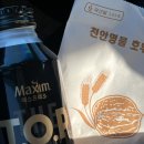 겨울 기행 ① 순천