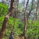 재영이네집 이미지