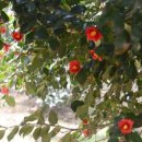 서천이하복고택전시관 이미지