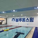 블루몽 스윔 | 창원 어린이 수영장 키즈 유아 블루몽스윔(이곳의 장점 및 후기)