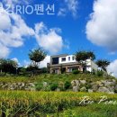 홍천강RIO펜션