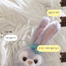 도봉로5길1L-10 | 2025,08 자 다시 갈비뼈 닫으러 가보자고