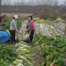 평촌농장 이미지