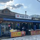 원주 치악산 구룡사 근처 맛집 비룡상회 해물파전 도토리묵 메밀전