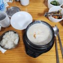 유 애 묘 | 10월 일상🦷