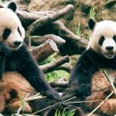 멍이하루 이미지