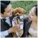 W1. 야외 서울 웨딩스냅 계약 후기 - 모브앤무드