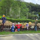 한터농원 영농조합법인 이미지