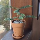 커피도큐먼트 이미지