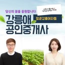 강릉애 공인중개사사무소 이미지