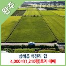 참신한공인중개사사무소 이미지