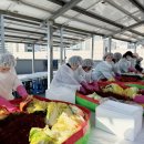 창2동 주민센터 이미지