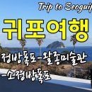 왈종미술관 Daum카페