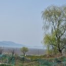 청백공인중개사사무소 이미지