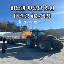 하늘마루염소목장 | 강원도 가볼만한곳 강릉&amp;대관령 하늘목장 위치 주차 요금 할인 트랙터마차 애견동반 총정리