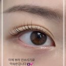 더모어디자인 이미지