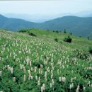 태백낚시 이미지