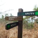 입화산참살이숲 이미지