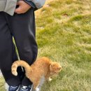 홍인펜션 이미지