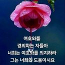 샬롬 Daum카페