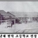 현덕초등학교 이미지