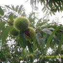 삼수농장 이미지