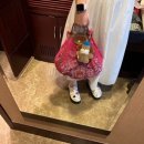 26230-73-01-037 | 면세쇼핑 - 신라면세점, 현대면세점, 신세계 면세점 이용 후기 (롱샴 필레 ➕ 바쿠백,젠틀몬스터 제이드01)