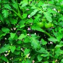 메타 동물의료센터 이미지