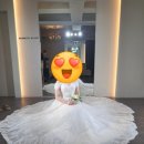 모다비즈 | 👰‍♀️w.더케네스블랑촬영드레스 후기 "레이스 비즈 드레스"