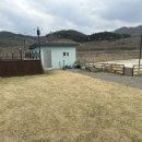 시골바이브 이미지