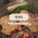 닭도리랑 닭칼국수 | 양재역 맛집 고기집 양계옥 숯불닭갈비 가성비 회식 데이트 추천 솔직 후기
