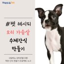 더펫레시피 뉴스1