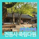 강화도 전등사 카페 죽림다원 내돈내산｜전통찻집 좀 춥지만 힐링