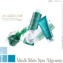 웰빙체형관리 이미지