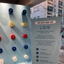 성수 라코스테 팝업 후기｜네이버 예약 의미 없었던 폴로 팩토리 솔직후기