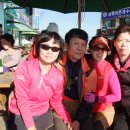 솔향기바다 이미지