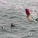 영랑동 해안방파제 이미지