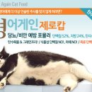영어게인 이미지