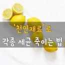 천연재료로 각종 세균 죽이는 버 이미지