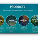 금일읍시장 이미지