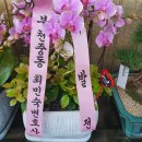 황예숙결혼갤러리 이미지