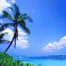 사랑의둥지 이미지