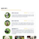 옥계우리유치원 | 🐾 놀러오개 산동옥계점 보상 정책 완벽 안내! 🐕💕