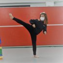 월드태권전문도장 이미지