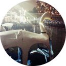 한강오리 이미지