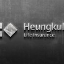 흥국생명보험주식회사 이미지
