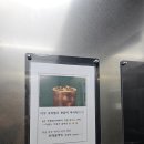 힐링감성 가득한 양산 가성비호텔, 옥상 글램핑 재밌었던 브라운도트 양산석산점 후기