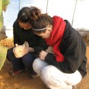 동이네집 이미지