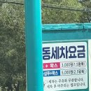 금성세차 이미지